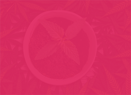Banner Images